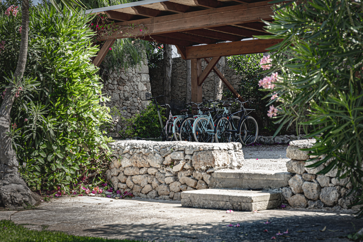 Biciclette per gli ospiti