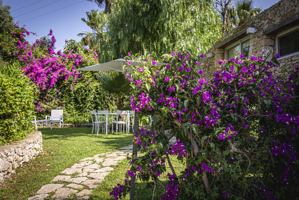 Ca' Bouganville, giardino